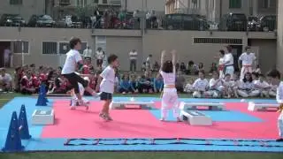 giocanimando-karate2012.wmv