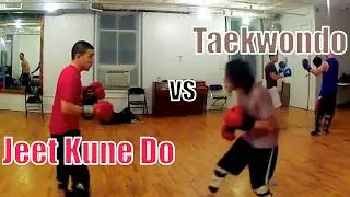 🦶Taekwondo vs Jeet Kune Do👊 The Foot-Fist Way Meets The Intercepting Fist