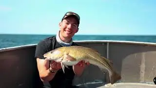 Tips og tricks - det gule rev