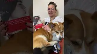 La Malnata di Beatrice Salvioni Un libro in 60