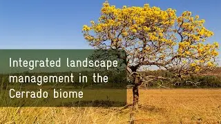 FIP Paisagens Rurais: Integrated landscape management in the Cerrado biome
