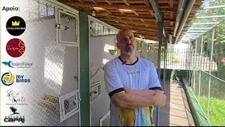 Tour ao Criadouro Reis em Maringá- PR. Parte 2