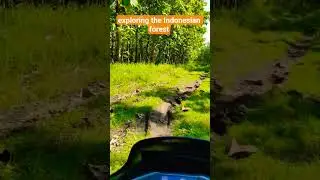 exploring the Indonesian forest, asmr video, forest, jurney village
