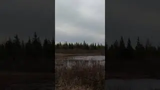 #duckhunting jumpshooting