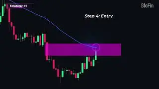 Earning Online Financial  Freedom of Trifecta with Crystalball Market.