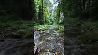 fresh water #loveyourjourney #nature