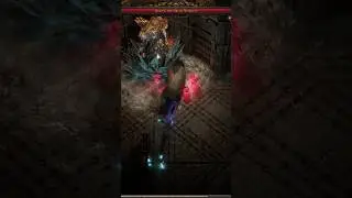 Ground damage doing unspeakable things to Oswin #pathofexile2 #poe2