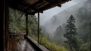 Forest Rain at Dusk &ndash; Serene and Natural Sounds to Calm the Mind and Body