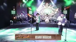Gustavo Reyna ( besando borrachos)