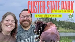 Custer State Park: Epic RV touring & Wildlife Watching