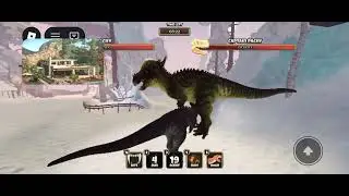 мән ән чох сечирәм pachy primal pursuit И Зиммелвејс 