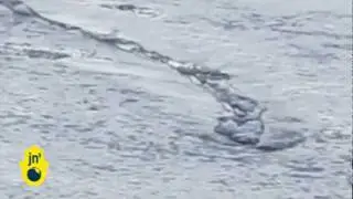 Lagarfljot Worm Monster Skeptics: Hjortur Kjerulf claims video isn't fake, Hrafnkelsstadir, Iceland