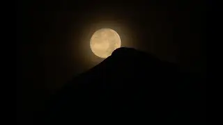 Raise Your Vibration &mdash; Echoes of Light (432 Hz AI Spiritual Music)