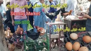 Lalukhet Murga Mandi | Sunday Market |2025 Rates |Fancy Hen Market|@M AtiqTV