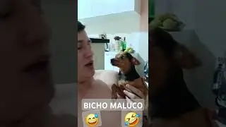 Bicho Maluco, Mordeu o pr&oacute;prio kkkkk. #promuller #BichoMaluco #Zez&eacute;semordeu.