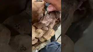 ✨🪵Amazing Wooden Statue Making Process ✨ #woodcraft #art  #handmade #sculpture #creative #shorts