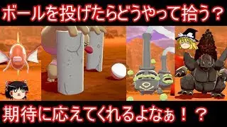 こいつらにボールを投げたらどうやって拾うのか検証【ポケモン剣盾】【ゆっくり実況】ポケットモンスター ソード・シールド