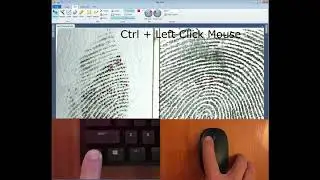 Useful Shortcuts  - the basics