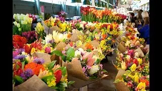 Tour of Flower Market at Pike Place (spring 2019)