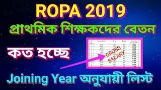 Primary Teacher Salary According to ROPA 2019