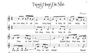 Trong Hang Đá Nhỏ | Phanxicô