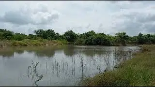 Designed and created pond at Promised Land Farm