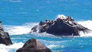 Sonoma County - Grace Rock Hike