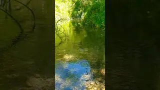 St. Peters River, Rural St. Andrew