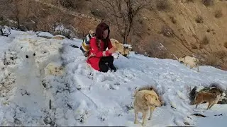 When a little girl builds a snowman with frozen hands | A simple winter miracle