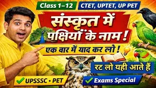 Birds Name in Sanskrit | संस्कृत में पक्षियों के नाम | With Hindi & English Meaning #uptet #ctet