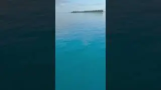 Places On Earth With The CLEAR Blue Water! #travel #destinations #shorts #bluewater #cruise #beach
