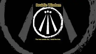 ❇️The Tree❇️ #wisdom #druid