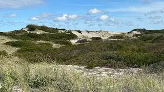 Sandy Neck Beach Hike In The Fall