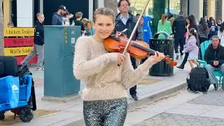 Blackbird - The Beatles | Karolina Protsenko - Violin Cover