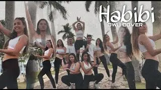 HABIBI - Now United (by DWU COVER)