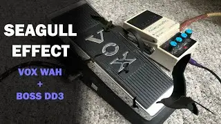 Guitar Seagull Effect - Wah + Delay