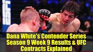 Результаты 9-й недели 9-го сезона Contender Series Даны Уайта и разъяснения по контрактам UFC