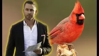 Film Study: What Kliff Kingsbury's creative playcalling will bring to the Arizona Cardinals