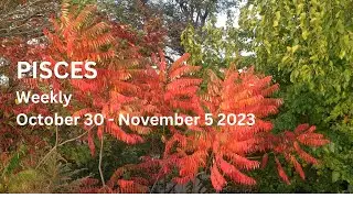 PISCES - You are very action oriented and direct with your communication! 🙌✨ Weekly Oct 30 - Nov 5
