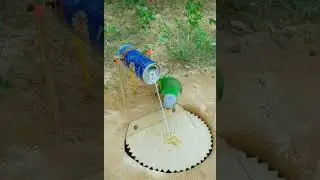 #unique creative parrot trapping#easy parrot  trapping#funny #bird master#YouTube short