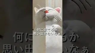 【何に似てるか全く思い出せない】#カリン様#白ネコ