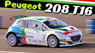 Paolo Andreucci/Anna Andreussi - Peugeot 208 T16 R5 - Actions, Max Attack & More! - Monza Rally Show
