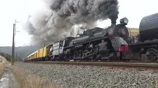 A Feast Of Steam From 2025
