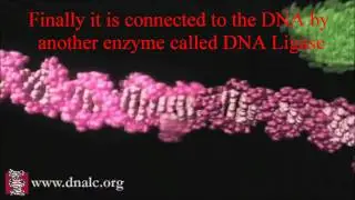 Genetic Engineering_Playing God.wmv