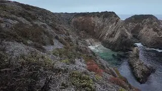 Garrapata State Park: Scenic Summit, Wildflowers, and Ocean Views