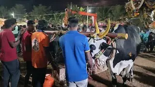 కర్ణాటక రాష్ట్రం నిలగల్ గ్రామం జనరల్ క్యాటగిరి విభాగం బండలాగుడు పోటీలు 11వ జత