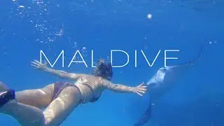 Maldives Baa Atoll - Fehendhoo, Private Island - One foot in Paradise