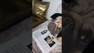 برج  الجدي 212617637421+ واتساب رساءل فقط
