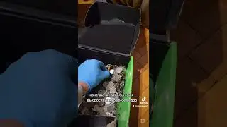в следующем видео сколько 💰? #shorts #ytshorts #storagefinds #thriftfinds #flipping #находки
