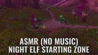 Nostalgic Night Elf Ambience — Shadowglen ASMR (Magical Forest | WoW)